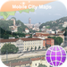 Lyon Street Map for iPad